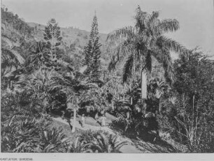 Garten von Castleton : Einige Besucher in Garten von Castleton