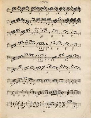 Caprice pour la guitarre : Oeuv. V