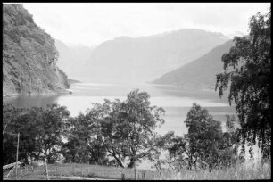 Flåm: Aurlandfjord, Aurlandfjord von oben, Vordergrund Bäume von Flåm aus