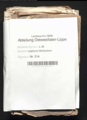 Durchmarsch braunschweig-lüneburgischer Truppen