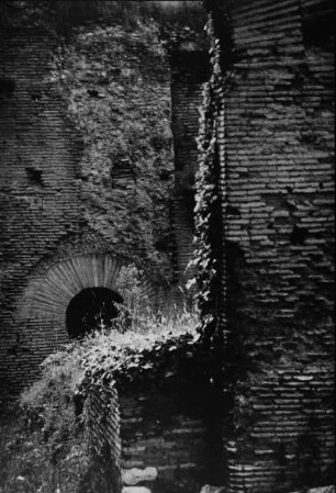 Ostia (Italien). Antike, wild bewachsene Steinmauern