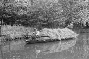 Heutransport per Kahn im Spreewald : Synowe žně z čołmom w Błótach : Spreewald / Błóta