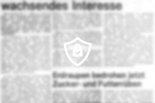 "Alter Wahlkämpfer" vermerkt wachsendes Interesse