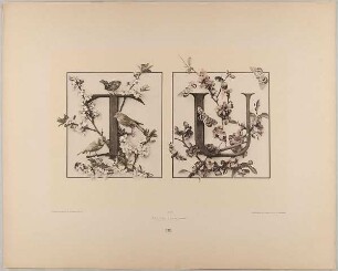 XIX. Initiale T U mit Dornblüthen mit Vögeln - Quittenblüthe (japanisch) mit Schmetterlingen