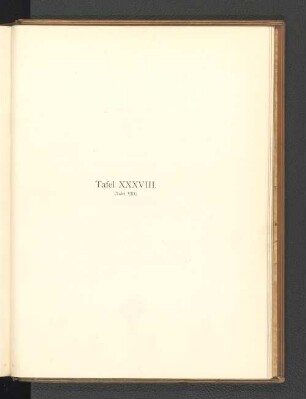 Tafeln XXXVIII-XL