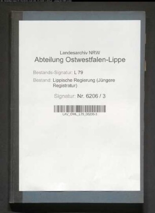 Vorstellungslisten des Aushebungsbezirks Detmold, Band 2