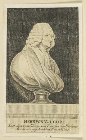 Bildnis des Herr von Voltaire