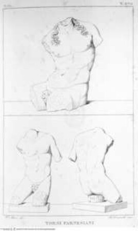 Real Museo Borbonico / descritto ed illustrato da Erasmo Pistolesi, Band 3., Tafel x