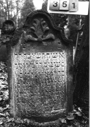 Grabstein 351 (Index: 99752558) Material: Sandstein Zustand: stark verwittert mit Textverlust Maße HxBxT: 103x59x12 cm Beschreibung: Stele, geschwungener Abschluß, Schriftfeld eingetieft Symbolik: Ranken: Grabstein 351