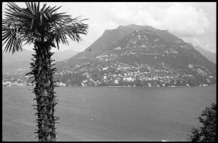 San Martino: Luganer See, Monte Bré, Vordergrund eine Palme