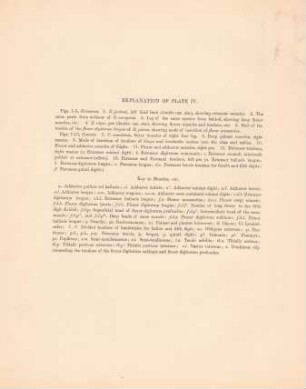Explanation of plate IV.