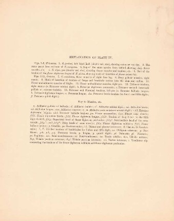Explanation of plate IV.