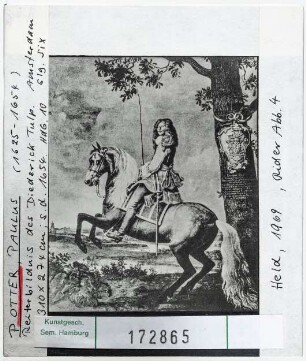 Paulus Potter: Reiterbildnis des Diederick Tulp. Amsterdam
