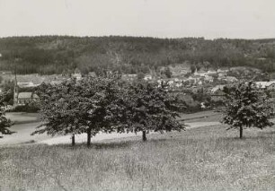 Berggießhübel