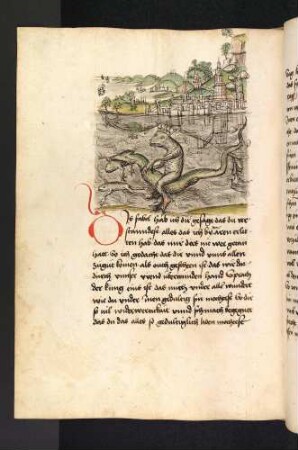 Der Froschkönig reitet auf der Schlange; (Kapitel V: Von den Raben und den Aaren).
