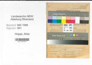 Entnazifizierung Alois Hoppe , geb. 30.10.1903 ()