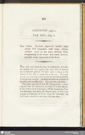 Ammonites jugosus. Tab. XCII. - Fig. 1
