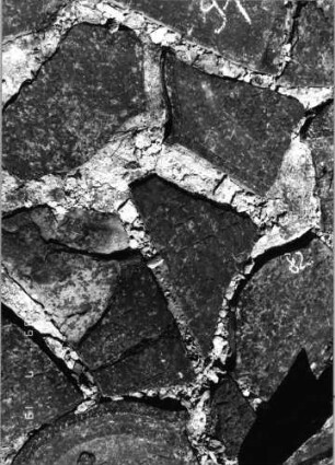 Grabstein 82 (Index: 99796424) Material: Sandstein Zustand: verwittert Maße HxBxT: 0x0x0 cm Beschreibung: Stele, Konvexbogenabschluß Symbolik: Blüte: Grabstein 82 (2)