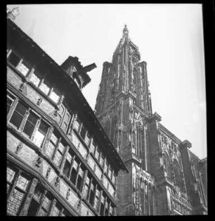 Das Münster in Straßburg