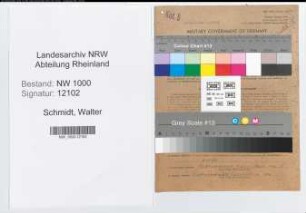 Entnazifizierung Walter Schmidt, geb. 04.08.1898 (Kaufmann)