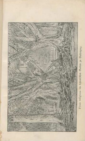 Ficus religiosa im botanischen Garten zu Buitenzorg