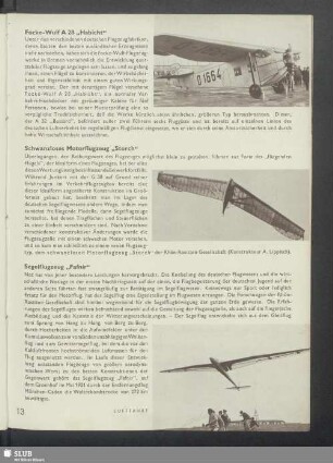 Segelflugzeug "Fafnir"