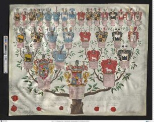 Tiesenhausen, Hans Heinrich Graf von