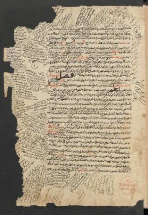 Kitāb al-Anwār wa-ǧināʾ al-Aṯmār al-mufattiḥ li-kamāʾim al-Azhār al-muntaziʿ min al-Ġaiṯ al-midrār