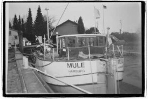 Mule (1907)