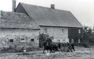 Fachwerkhaus in Rosenthal : Bauwesen - Wohnung, Exterieur. Ort: Róžant / Rosenthal. Fachwerkhaus, Haus Nr. 5.