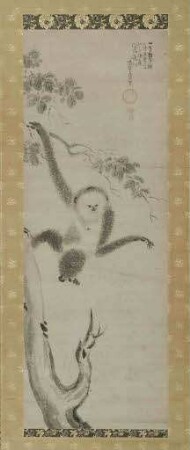 Gibbon mit Jungtier im Geäst