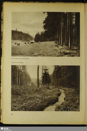 Seerental im Frühling