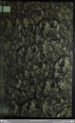Viro Nobilissimo, Domino Georgio Schoebelio, Ob Agnomen Uranophronis à Laudatissima Societate Fructifera Ipsi More Majorum Anno Christi M DC LXIX. Adjudicatum, Gratulatum Ibat