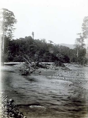 "Fluß in Koromira."