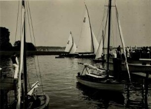 Segelboote auf dem Sacrower See.