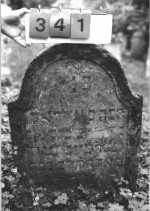 Grabstein 341 (Index: 99799744) Material: Sandstein Zustand: stark verwittert, leicht eingesunken, teilw. Textverlust Maße HxBxT: 76x60x8 cm Beschreibung: Stele, geschwungen eingezogener Bogenabschluß, Schriftfeld eingetieft Symbolik: Stern: Grabstein 341