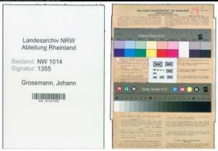 Entnazifizierung Johann Grossmann , geb. 21.04.1902 (Kraftfahrer)