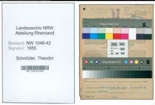 Entnazifizierung Theodor Schnitzler , geb. 01.04.1910 (Pfarrer)