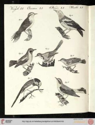 B.IV. No. 21 - B.III. No. 30