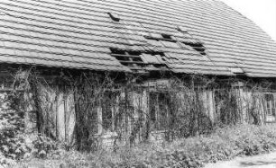 Rothenburg/O.L.-Steinbach. Ehem. Wassermühle, Traufseite