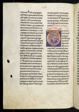 Zierinitiale (Liber Iob): V(ir erat in terra)