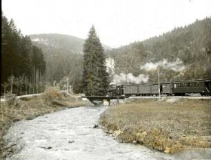 Parthie aus dem Preßnitzthal bei Steinbach