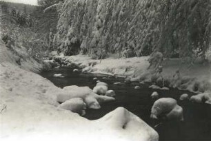 Osterzgebirge. An der Roten Weißeritz bei Kipsdorf