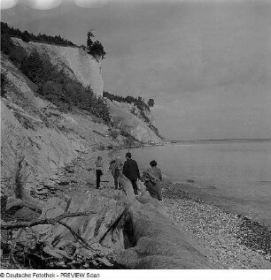 Rügen. Kreideküste. Am Hengst. Ansicht mit Spaziergängern