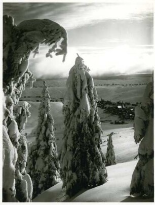 Erzgebirge, Blick vom Fichtelberg über mit Raureif und Schnee überzogene Fichten auf Oberwiesenthal