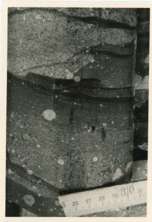 Bohrkern der Tiefenbohrung Freital (F 8 E), Teufe (Tiefe im Bergwerk) 217-217,20 m. Gebänderte Feinklastite. Diskordanz durch Rutschung. Nördlich von Bannewitz, alte Kiesgrube
