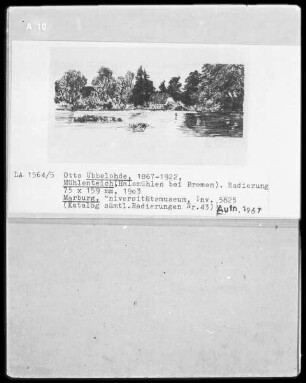 Mühlenteich (Halsmühlen bei Bremen)