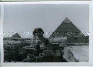 Große Sphinx von Gizeh mit Chepren Pyramide, Kairo, Ägypten