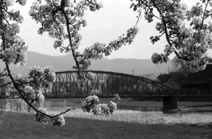 Frühling im Murgtal.
