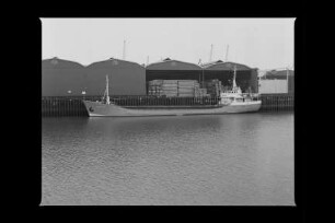 Borsfleth ex Dithmarschen (1956), Frachtschiff, Edgar Pahl, Brake, Bau-Nr. 1093